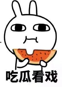 娱乐吃瓜酱画饼,揭秘明星画饼背后的真相与内幕