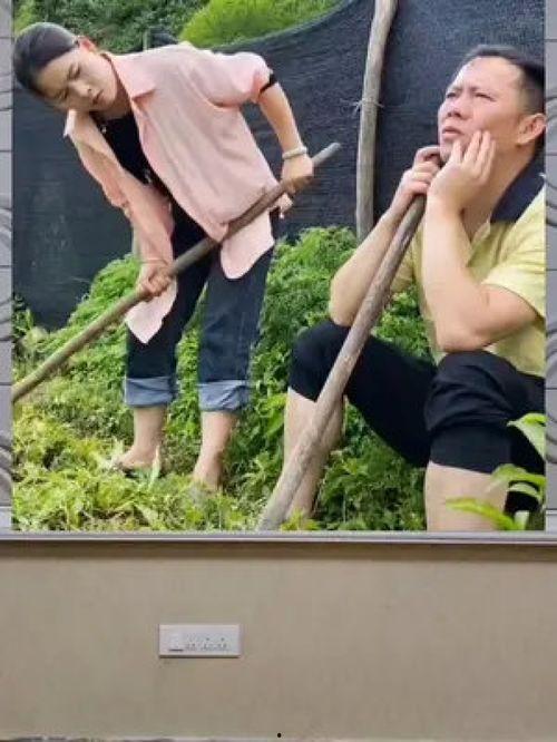 吃瓜群众的娱乐八卦,明星秘闻大揭秘